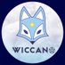 Wiccano Arena X | WILD RIFT (@ArenaXWiccano) Twitter profile photo
