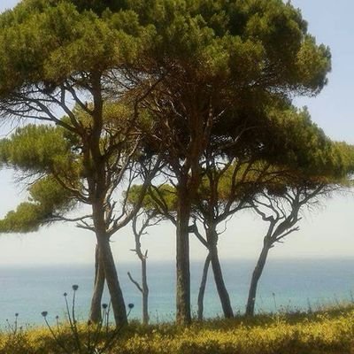 Fatima91222864's profile picture. ‏‏‏‏سرّ السّعادة :صح، مزبوط،معك حق✌
La Vida es nuestra realidad, y entonces todo lo que queda es la verdad🌾