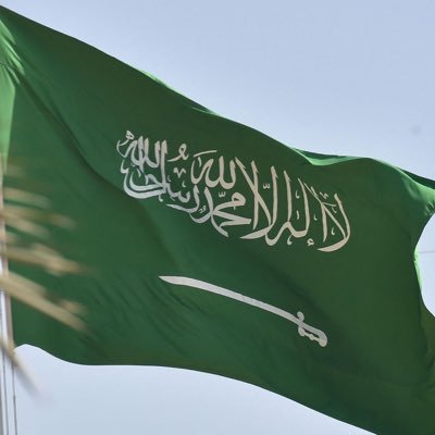 Abosult94583799's profile picture. حزب محبين الشاهي