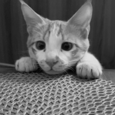 keerat_20's profile picture. ✨🍓