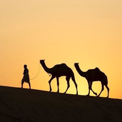 childo95's profile picture. Spécialiste SEO