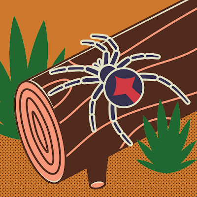 NetwebStudios's profile picture. 