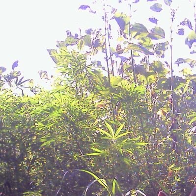 olio_31's profile picture. 