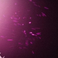Wazerplayzzq  (@wazerplayzzq) 's Twitter Profile Photo Wazerplayzzq  (@wazerplayzzq) 's Twitter Profile Photo