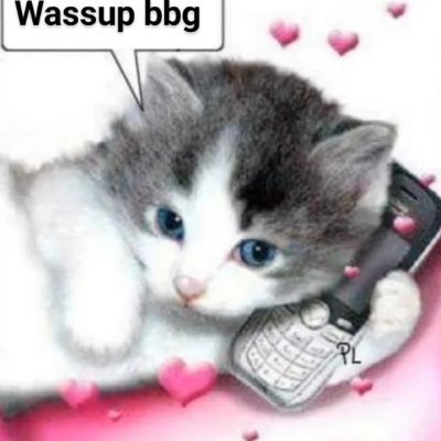 coderegret66_'s profile picture. 