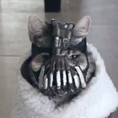 No one cared who I was until I put on the mask Telegram: https://t.co/tW4Iwjy2bt
https://t.co/yMGBZSJ9Xp