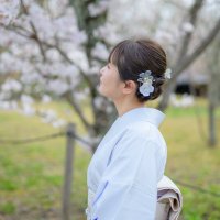 🌸桜の女🌸(@Ryusuyi0412) 's Twitter Profileg