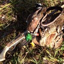 Will Casey - @willcasey85 - Twitter