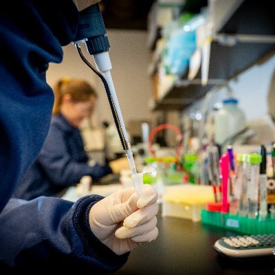 The NC State Department of Chemistry prepares students for success in academia and industry and makes life-changing discoveries that benefit the world.