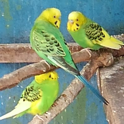 Sogo628757's profile picture. 