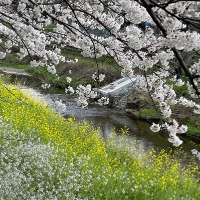 白豆🐕Legal,Compliance⚖️Music🎹Tea🫖Yoga🧘♀️Basketball🏀Okinawa🌺Hokkaido⛄️Mt.Yari⛰Kamikochi🏞Italia🇮🇹BoraBoraIland🏝Apple...&more/無言フォロー失礼します🙏fromTokyo🗼