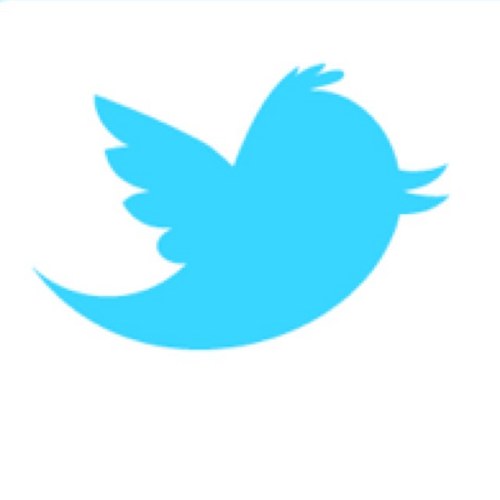 alltw1tter's profile picture. 