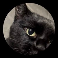 미쎄스장🐈‍⬛ (@hdpsm28) 's Twitter Profile