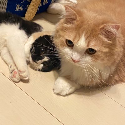 re_na1028's profile picture. 