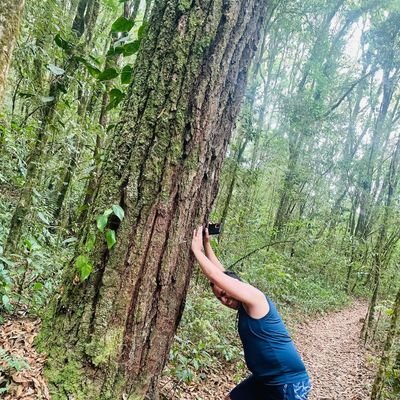 MoisesLacayo4's profile picture. 🇭🇳 Hondureño ⌚ 👨🏿‍💻 Abogado, 🕹🎮Video Juegos, Política, Cine 📽🎬, opiniones personales.