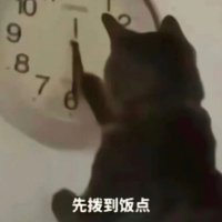 陆征nya (@road_darklight) 's Twitter Profile Photo