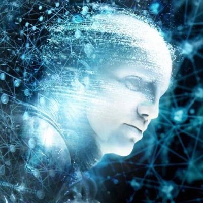 WWilson51065's profile picture. If you claim to be Elon’s left testicle or some other shit! or if you are a decade old account with a piss poor follower number you will be fkn blocked.