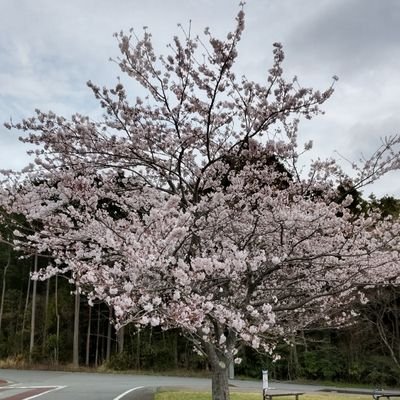 日本一の山の麓→低い山の麓に移住予定。
ただのつぶやき兼備忘録。通知切ってます。
虫が苦手な方はご注意ください。
…自転車は観戦メインになってます。