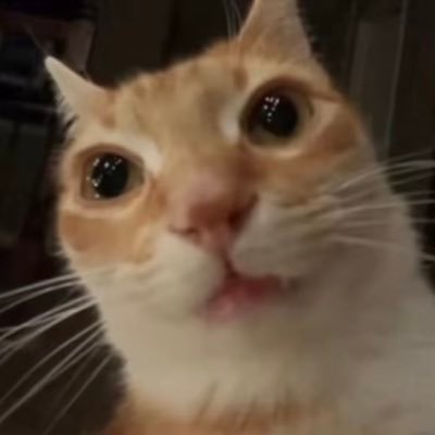 tedcabatingan's profile picture. banana bread connoisseur 🍌🍞 | Si vis pacem, para bellum | makima simp