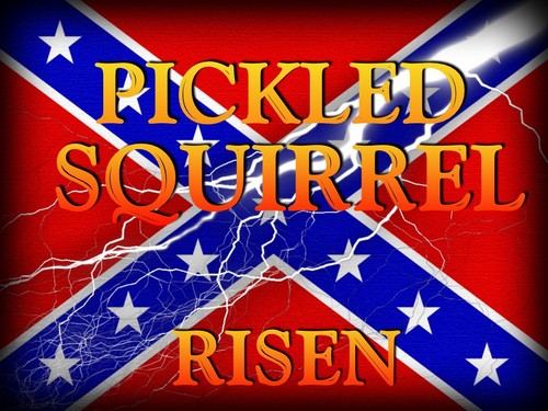 pickldsquirrel's profile picture. 