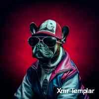 tmplarxmr's profile picture. Crypto enthusiast, surfing the highs and lows of the market