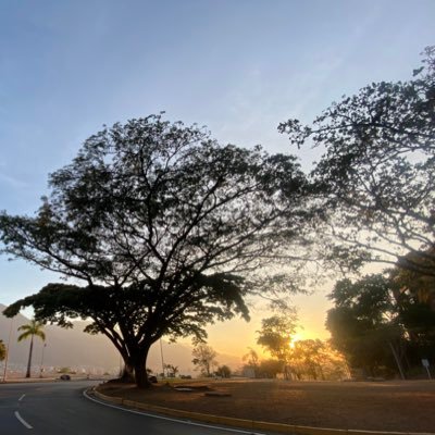 Odontologo UCV, Amo el deporte y la naturaleza. Lo más importante mamá de Fausto 🧑‍🎨 y Alessandro 🏛️