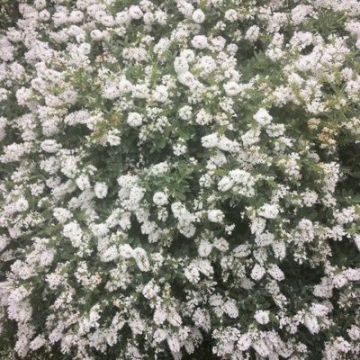 kei__waka__0907's profile picture. 