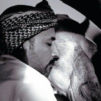 محمد البلوي (@8x_hv1) 's Twitter Profile