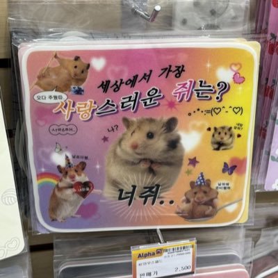 무속성 똑단さんのプロフィール画像