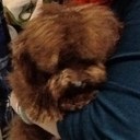 Fergus Chan - @Fergus131 - Twitter