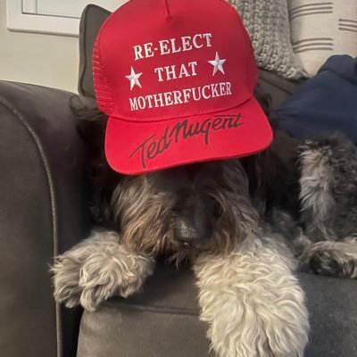 Pronouns: Dog/Puppy 🤣 Married 💍 God is good! Labradoodle and Goldendoodle mix. I love Trump 2024!