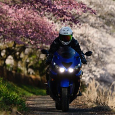 バイク乗ったら更新/無言フォロー🙇‍♂️/バイク垢フォローしまくり/zzr1400 /💊💊💊