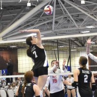 Tatum Schroering (@tatumschroering) 's Twitter Profile