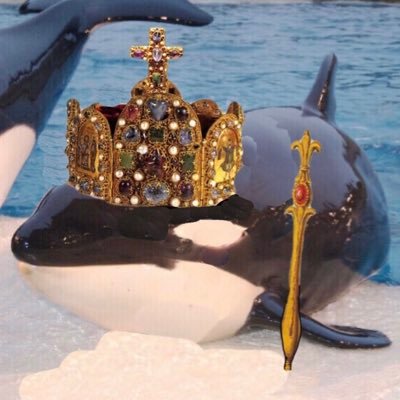 CatholicOrca Profile Picture