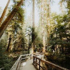 世界の中の日本🇯🇵を伝えるジャーナリストを目指します！名市大卒→岐阜⛰️