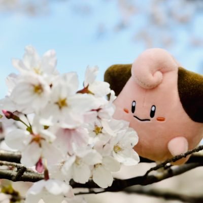 ponponpoooon87's profile picture. 