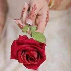 irxqjeh63462's profile picture. 