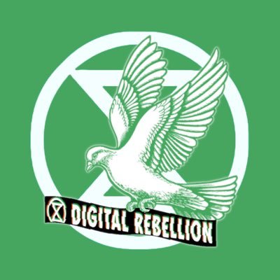 Empowering rebels to take action anywhere – from home, at their desks, or from the streets. Together, we are all that we need. 💚 #XRDigitalRebel