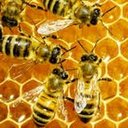 Iain Paton - @IainP63698 - Twitter