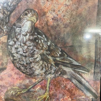 マッツッさんのプロフィール画像