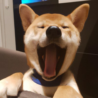SHIBPONKI Profile