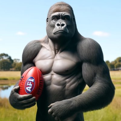 Australian football insight, opinions, and chat. 🦍🏉 #GorillaFooty