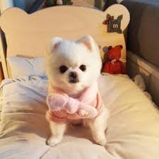 Aala44491594's profile picture. If there's something that needs to be done tomorrow, it's best to start now