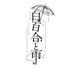 ☔️白百合と雨☔️ (@shirayuri__info) Twitter profile photo ☔️白百合と雨☔️ (@shirayuri__info) Twitter profile photo