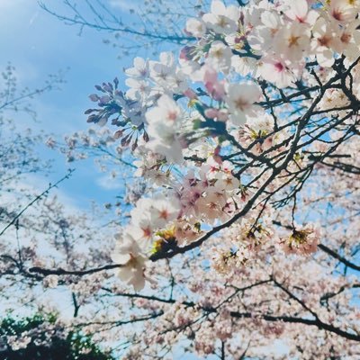 skrさんのプロフィール画像