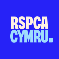 RSPCA Cymru(@RSPCAcymru) 's Twitter Profileg