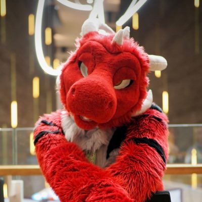 RedRocketDragon