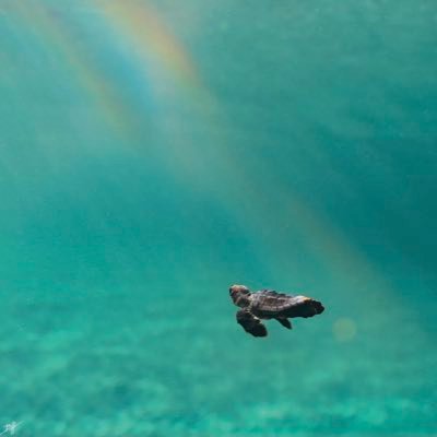 newgaiac's profile picture. 한줌의 지지자