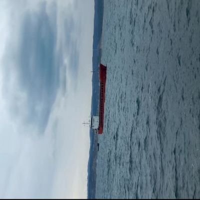 cap56347's profile picture. I support peace🕊🌼 
 respect for culture 
beliefs of other people