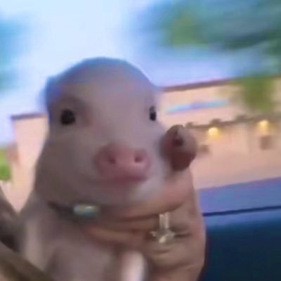 leee_pom's profile picture. L/02/@BARLAUGH07 💛🐶🩶